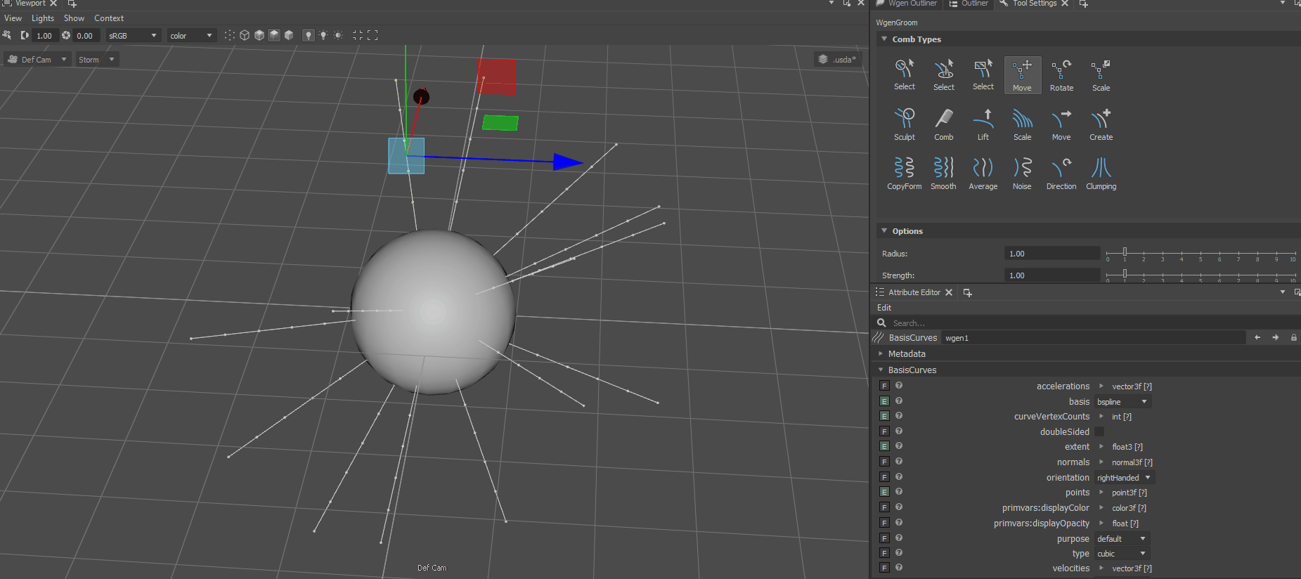 wgen_deformation
